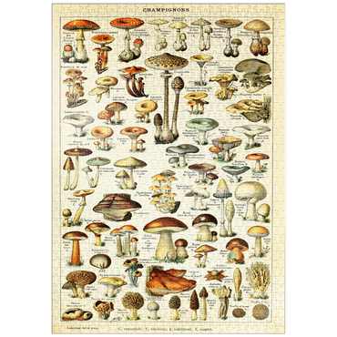 Darstellung des Puzzle Motivs puzzleplate Champignons - Pilze für Alle, Vintage Art Poster, Adolphe Millot 1000 Puzzle
