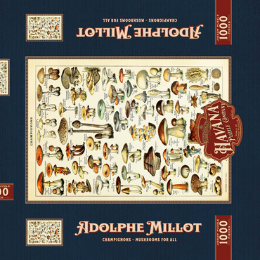 Darstellung des Puzzle Motivs Champignons - Pilze für Alle, Vintage Art Poster, Adolphe Millot 1000 Puzzle Schachtel 3D Modell