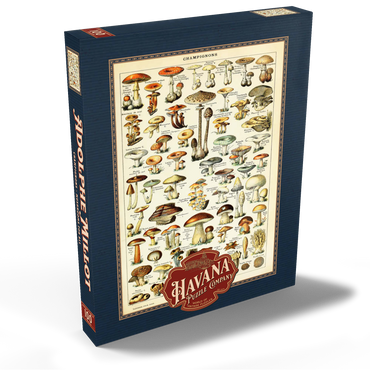 Darstellung des Puzzle Motivs Champignons - Pilze für Alle, Vintage Art Poster, Adolphe Millot 100 Puzzle Schachtel Ansicht2