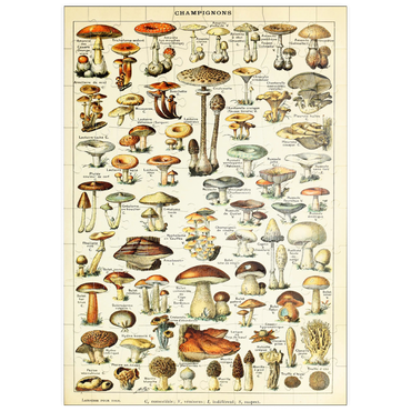 Darstellung des Puzzle Motivs puzzleplate Champignons - Pilze für Alle, Vintage Art Poster, Adolphe Millot 100 Puzzle
