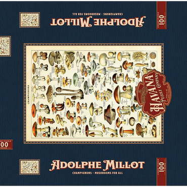 Darstellung des Puzzle Motivs Champignons - Pilze für Alle, Vintage Art Poster, Adolphe Millot 100 Puzzle Schachtel 3D Modell