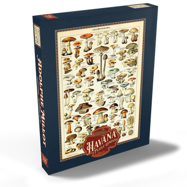 Darstellung des Puzzle Motivs Champignons - Pilze für Alle, Vintage Art Poster, Adolphe Millot 200 Puzzle Schachtel Ansicht2