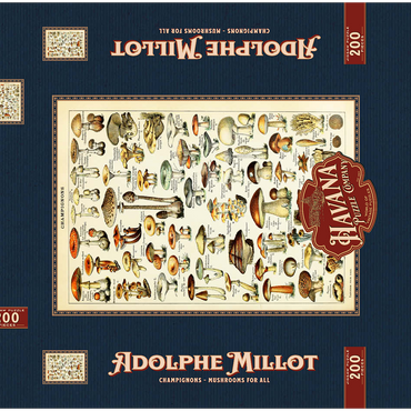 Darstellung des Puzzle Motivs Champignons - Pilze für Alle, Vintage Art Poster, Adolphe Millot 200 Puzzle Schachtel 3D Modell