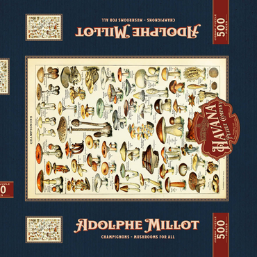 Darstellung des Puzzle Motivs Champignons - Pilze für Alle, Vintage Art Poster, Adolphe Millot 500 Puzzle Schachtel 3D Modell