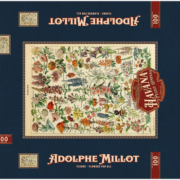 Darstellung des Puzzle Motivs Fleurs - Blumen für Alle, Vintage Art Poster, Adolphe Millot 100 Puzzle Schachtel 3D Modell