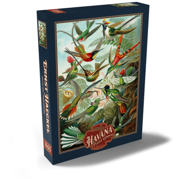 Darstellung des Puzzle Motivs Hummingbirds and Trochilidae (Kolibris), Vintage Art Poster, Ernst Haeckel 1000 Puzzle Schachtel Ansicht2