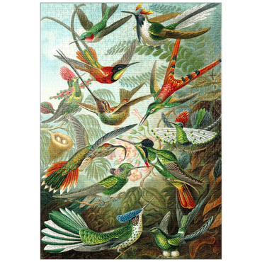 Darstellung des Puzzle Motivs puzzleplate Hummingbirds and Trochilidae (Kolibris), Vintage Art Poster, Ernst Haeckel 1000 Puzzle