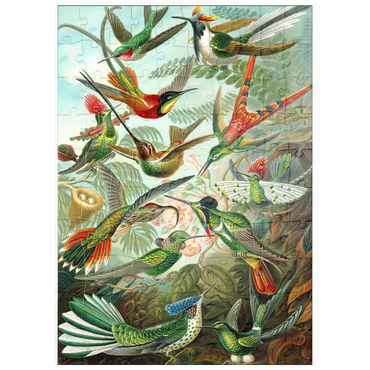 Darstellung des Puzzle Motivs puzzleplate Hummingbirds and Trochilidae (Kolibris), Vintage Art Poster, Ernst Haeckel 100 Puzzle