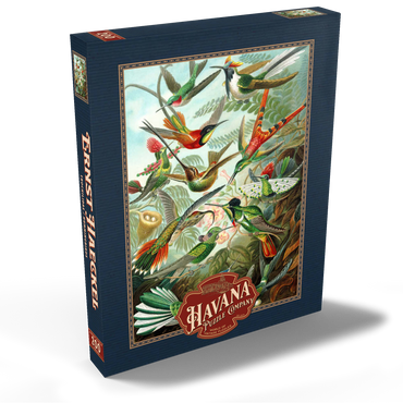 Darstellung des Puzzle Motivs Hummingbirds and Trochilidae (Kolibris), Vintage Art Poster, Ernst Haeckel 200 Puzzle Schachtel Ansicht2