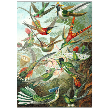 Darstellung des Puzzle Motivs puzzleplate Hummingbirds and Trochilidae (Kolibris), Vintage Art Poster, Ernst Haeckel 200 Puzzle