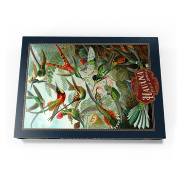 Darstellung des Puzzle Motivs Hummingbirds and Trochilidae (Kolibris), Vintage Art Poster, Ernst Haeckel 500 Puzzle Schachtel Ansicht3