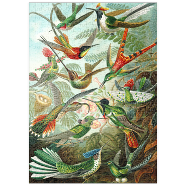Darstellung des Puzzle Motivs puzzleplate Hummingbirds and Trochilidae (Kolibris), Vintage Art Poster, Ernst Haeckel 500 Puzzle