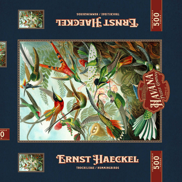 Darstellung des Puzzle Motivs Hummingbirds and Trochilidae (Kolibris), Vintage Art Poster, Ernst Haeckel 500 Puzzle Schachtel 3D Modell