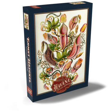 Darstellung des Puzzle Motivs Nepenthaceae - Pitcher Plant, Vintage Art Poster, Ernst Haeckel 1000 Puzzle Schachtel Ansicht2