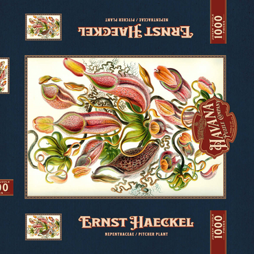 Darstellung des Puzzle Motivs Nepenthaceae - Pitcher Plant, Vintage Art Poster, Ernst Haeckel 1000 Puzzle Schachtel 3D Modell