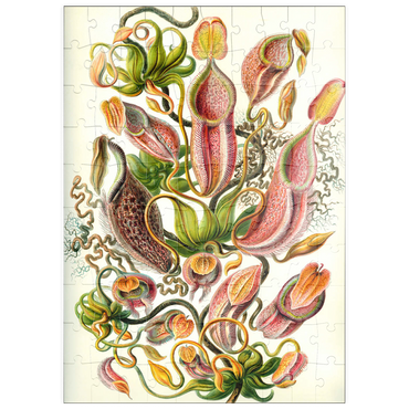 Darstellung des Puzzle Motivs puzzleplate Nepenthaceae - Pitcher Plant, Vintage Art Poster, Ernst Haeckel 100 Puzzle