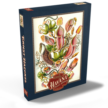 Darstellung des Puzzle Motivs Nepenthaceae - Pitcher Plant, Vintage Art Poster, Ernst Haeckel 200 Puzzle Schachtel Ansicht2