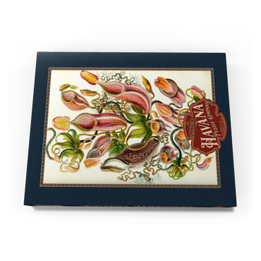 Darstellung des Puzzle Motivs Nepenthaceae - Pitcher Plant, Vintage Art Poster, Ernst Haeckel 200 Puzzle Schachtel Ansicht3