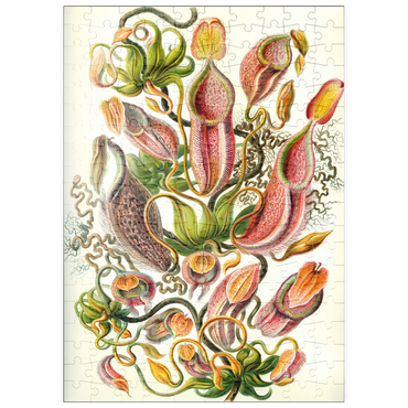 Darstellung des Puzzle Motivs puzzleplate Nepenthaceae - Pitcher Plant, Vintage Art Poster, Ernst Haeckel 200 Puzzle