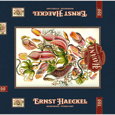 Darstellung des Puzzle Motivs Nepenthaceae - Pitcher Plant, Vintage Art Poster, Ernst Haeckel 200 Puzzle Schachtel 3D Modell