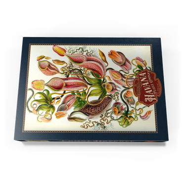 Darstellung des Puzzle Motivs Nepenthaceae - Pitcher Plant, Vintage Art Poster, Ernst Haeckel 500 Puzzle Schachtel Ansicht3