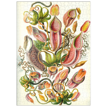 Darstellung des Puzzle Motivs puzzleplate Nepenthaceae - Pitcher Plant, Vintage Art Poster, Ernst Haeckel 500 Puzzle
