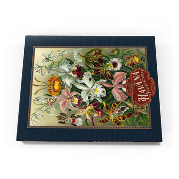 Darstellung des Puzzle Motivs Orchid - Nature Art Forms, Vintage Art Poster, Ernst Haeckel 100 Puzzle Schachtel Ansicht3