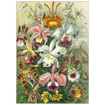 Darstellung des Puzzle Motivs puzzleplate Orchid - Nature Art Forms, Vintage Art Poster, Ernst Haeckel 100 Puzzle