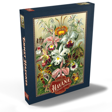 Darstellung des Puzzle Motivs Orchid - Nature Art Forms, Vintage Art Poster, Ernst Haeckel 200 Puzzle Schachtel Ansicht2