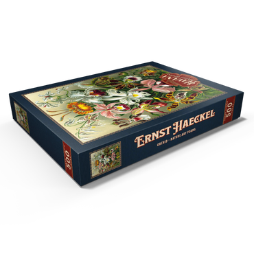 Darstellung des Puzzle Motivs Orchid - Nature Art Forms, Vintage Art Poster, Ernst Haeckel 500 Puzzle Schachtel Ansicht1