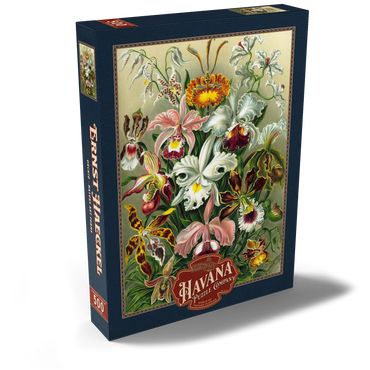 Darstellung des Puzzle Motivs Orchid - Nature Art Forms, Vintage Art Poster, Ernst Haeckel 500 Puzzle Schachtel Ansicht2