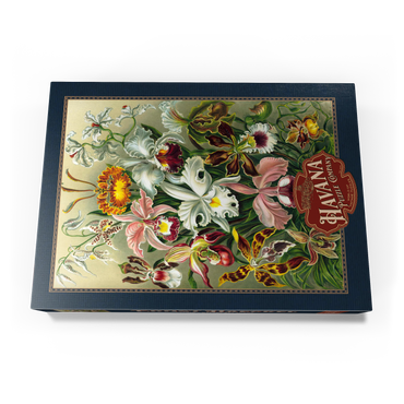 Darstellung des Puzzle Motivs Orchid - Nature Art Forms, Vintage Art Poster, Ernst Haeckel 500 Puzzle Schachtel Ansicht3