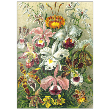 Darstellung des Puzzle Motivs puzzleplate Orchid - Nature Art Forms, Vintage Art Poster, Ernst Haeckel 500 Puzzle