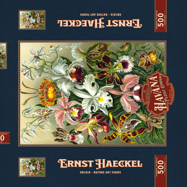 Darstellung des Puzzle Motivs Orchid - Nature Art Forms, Vintage Art Poster, Ernst Haeckel 500 Puzzle Schachtel 3D Modell