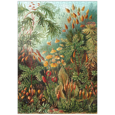 Darstellung des Puzzle Motivs puzzleplate Moss (Muscinae) - Art Forms in Nature, Vintage Art Poster, Ernst Haeckel 1000 Puzzle