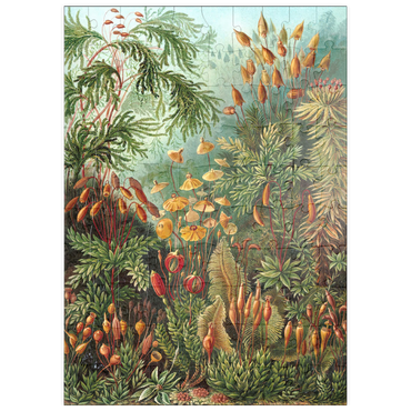 Darstellung des Puzzle Motivs puzzleplate Moss (Muscinae) - Art Forms in Nature, Vintage Art Poster, Ernst Haeckel 100 Puzzle