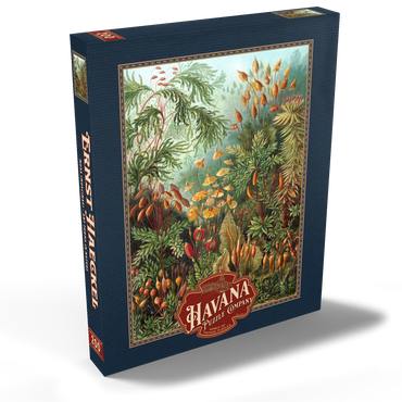 Darstellung des Puzzle Motivs Moss (Muscinae) - Art Forms in Nature, Vintage Art Poster, Ernst Haeckel 200 Puzzle Schachtel Ansicht2