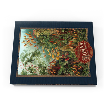 Darstellung des Puzzle Motivs Moss (Muscinae) - Art Forms in Nature, Vintage Art Poster, Ernst Haeckel 200 Puzzle Schachtel Ansicht3