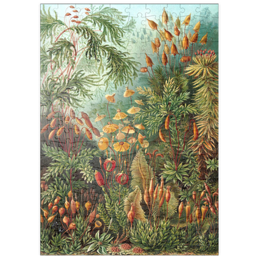 Darstellung des Puzzle Motivs puzzleplate Moss (Muscinae) - Art Forms in Nature, Vintage Art Poster, Ernst Haeckel 200 Puzzle