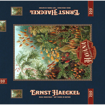 Darstellung des Puzzle Motivs Moss (Muscinae) - Art Forms in Nature, Vintage Art Poster, Ernst Haeckel 200 Puzzle Schachtel 3D Modell