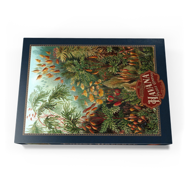 Darstellung des Puzzle Motivs Moss (Muscinae) - Art Forms in Nature, Vintage Art Poster, Ernst Haeckel 500 Puzzle Schachtel Ansicht3