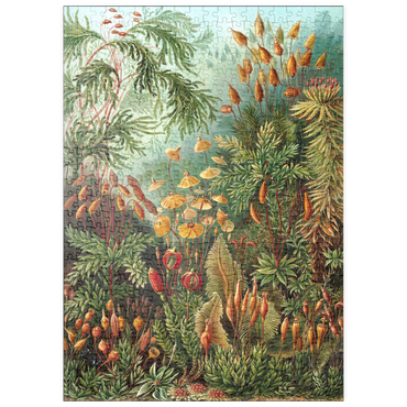 Darstellung des Puzzle Motivs puzzleplate Moss (Muscinae) - Art Forms in Nature, Vintage Art Poster, Ernst Haeckel 500 Puzzle