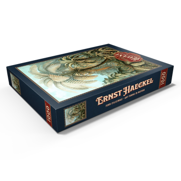 Darstellung des Puzzle Motivs Fern (Filicinae) - Art Forms in Nature, Vintage Art Poster, Ernst Haeckel 1000 Puzzle Schachtel Ansicht1