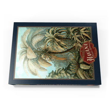 Darstellung des Puzzle Motivs Fern (Filicinae) - Art Forms in Nature, Vintage Art Poster, Ernst Haeckel 1000 Puzzle Schachtel Ansicht3