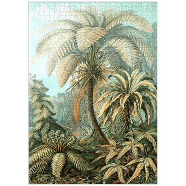 Darstellung des Puzzle Motivs puzzleplate Fern (Filicinae) - Art Forms in Nature, Vintage Art Poster, Ernst Haeckel 1000 Puzzle