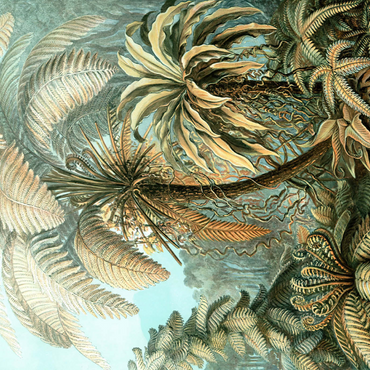 Darstellung des Puzzle Motivs Fern (Filicinae) - Art Forms in Nature, Vintage Art Poster, Ernst Haeckel 1000 Puzzle 3D Modell