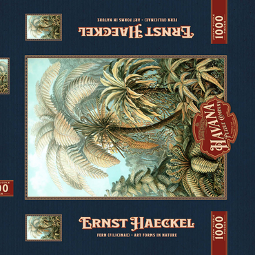 Darstellung des Puzzle Motivs Fern (Filicinae) - Art Forms in Nature, Vintage Art Poster, Ernst Haeckel 1000 Puzzle Schachtel 3D Modell