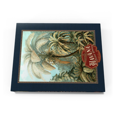 Darstellung des Puzzle Motivs Fern (Filicinae) - Art Forms in Nature, Vintage Art Poster, Ernst Haeckel 100 Puzzle Schachtel Ansicht3
