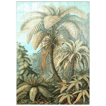 Darstellung des Puzzle Motivs puzzleplate Fern (Filicinae) - Art Forms in Nature, Vintage Art Poster, Ernst Haeckel 100 Puzzle