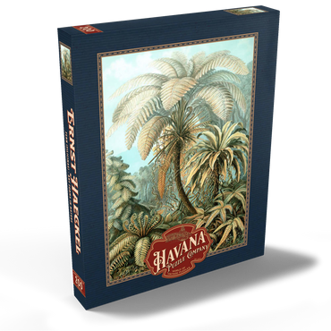 Darstellung des Puzzle Motivs Fern (Filicinae) - Art Forms in Nature, Vintage Art Poster, Ernst Haeckel 200 Puzzle Schachtel Ansicht2